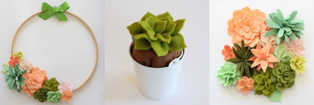 Coco Flowers and Succulents - ideas for extra projects from Molly and Mama